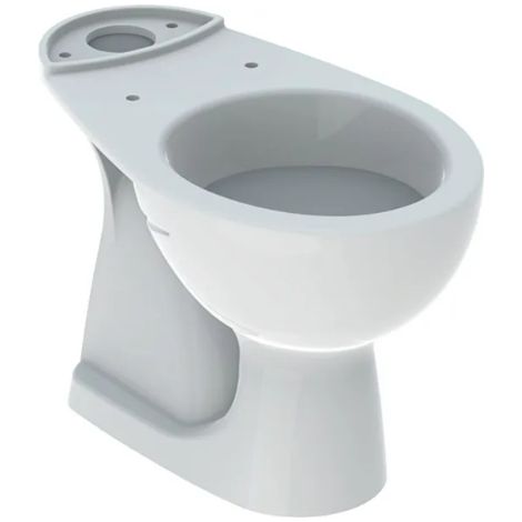 Pot au sol 36x62.5 monobloc blanc brillant - Geberit Colibrì - Con copri wc Standard - Accessorio: Senza copri wc