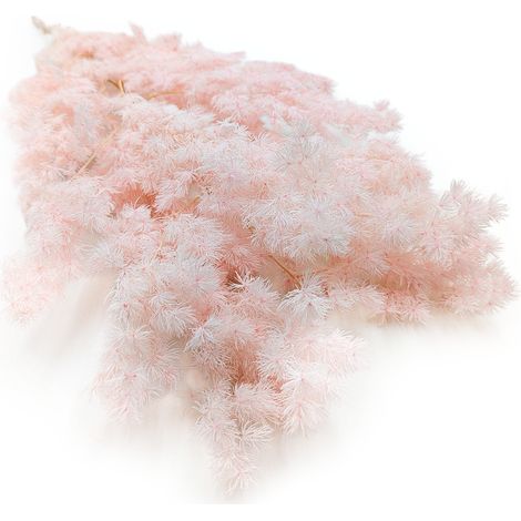 Espárragos estabilizados - Helecho Ming - Rosa pastel