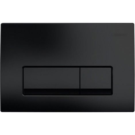 Delta 50 Plaque de commande double touche, Noir mat (115.119.14.1) (1/2)