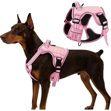 Harnais Tactique Chien réglable réfléchissant Pals, Rose S (1/5)