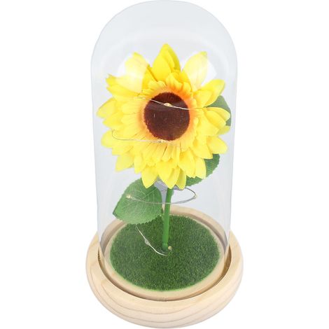 Tournesol Lumineux LED sous Cloche en Verre, Décoration Artificielle Éternelle, Cadeau pour Femme (1/5)