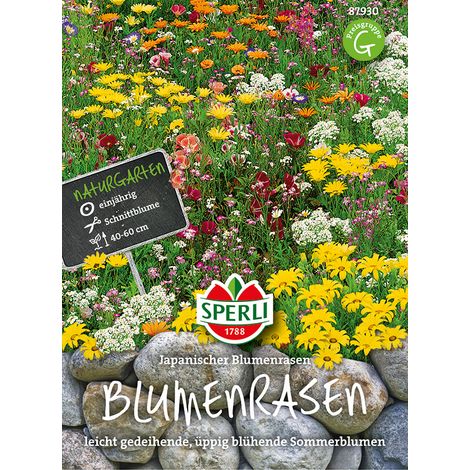 Sperli Blumenrasen japanisch - Blumensamen (1/2)