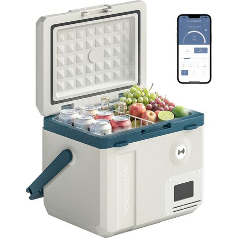 Réfrigérateur compresseur voiture 19 L contrôle application idéal camping compact