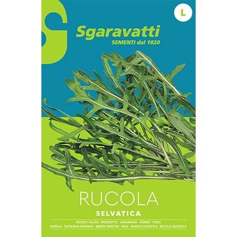 Semi per Ortaggi e Vegetali Rucola Selvatica Sgaravatti 10 Pezzi (1/2)