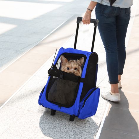 Bleu clair - Transporteur à dos 2-en-1 pour chiens et chats avec poches latérales, poignée télescopique et roues, 42x25x55cm