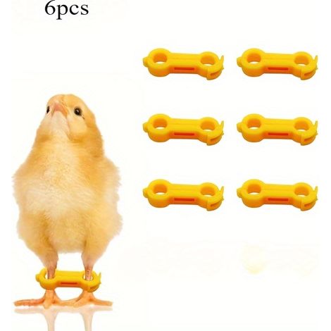 6 Supports pour Pattes de Poulet pour la Réhabilitation des Jeunes Volailles, pour Perroquets Juvéniles et Élevages, Diamètre Intérieur 5mm, Longueur 26mm (1/4)
