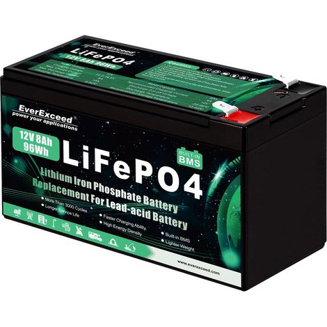 Batterie 12V 8Ah Batterie lithium 12V à plus de 3 000 cycles profonds pour énergie solaire/éolienne, éclairage, sondeurs de pêche, Power Wheels et plus encore, BMS 10A intégré (1/5)