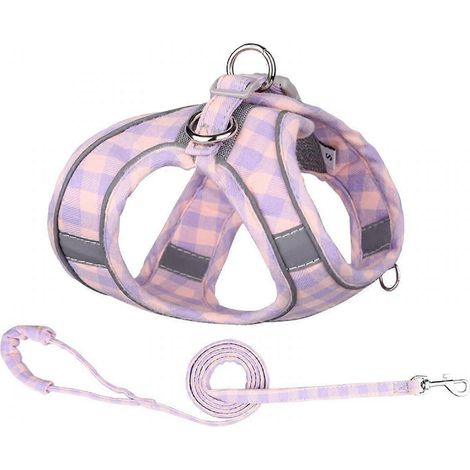 Harnais pour chiot, harnais pour chat et laisse anti-fugue pour promenade, ensemble harnais et laisse anti-traction pour petit chien, XS (1/5)