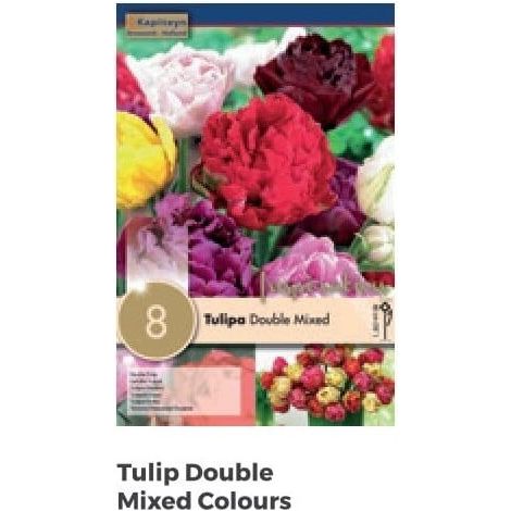 Bulbi Autunnali di Tulipano Double Mixed Colours confezione da 8 pz