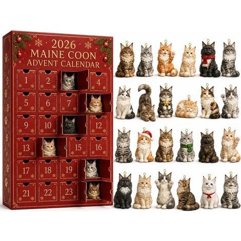 Collezione Calendario dell'Avvento Maine Coon 2026 Scatola a Sorpresa 2D