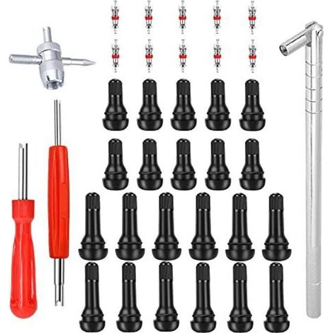 CHOYCLIT 47 Pièces TR413 Demonte Valve de Pneu Outil, avec Valve Souches Puller, Noyaux de Valve en Cuivre Pur, Extracteur de Noyau de à Unique et Double, TR413 Valve Enfichable, pour Voiture, Moto
