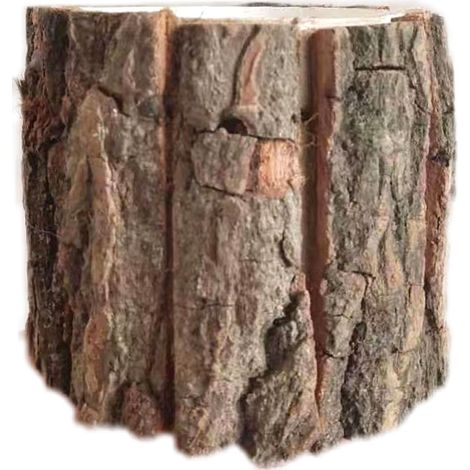Pot de fleurs en écorce de bois, style souche d'arbre, 10 cm de hauteur, décoration rustique