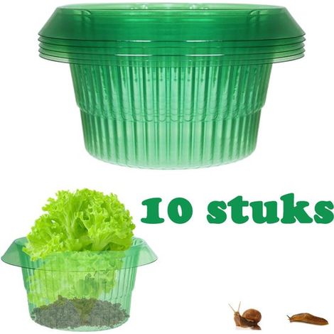 Paquete de 10 anillos/cubiertas verdes para proteger plantas contra caracoles. (1/5)
