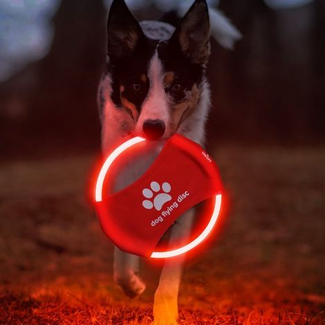 Disco LED recargable para perros: juguete volador que brilla en la oscuridad para mascotas, ideal para entrenamiento y para jugar a atrapar (1/5)