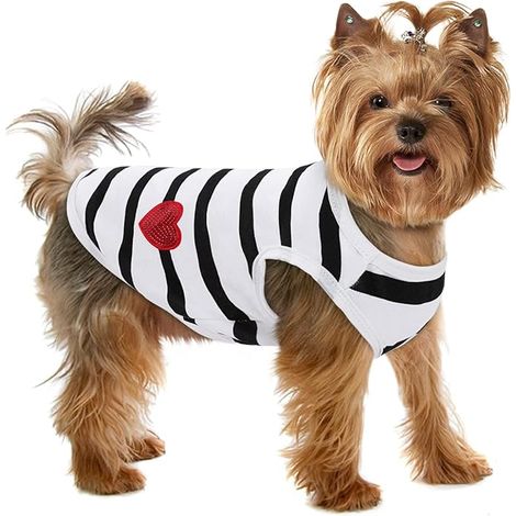 Pet Dog T-shirt rayé Chiens Chats Gilet de coton Printemps Été Vêtements pour animaux de compagnie Tee Shirt Convient aux petits et moyens grands animaux de compagnie Bichon Bouledogue Français, S-Ray (1/5)