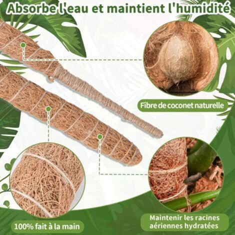120cm x 2 Tuteur Monstera pour Plantes, kit de Poteau de Mousse Monstera pour Plantes Grimpantes, Tuteur Coco pour Plantes d'intérieur