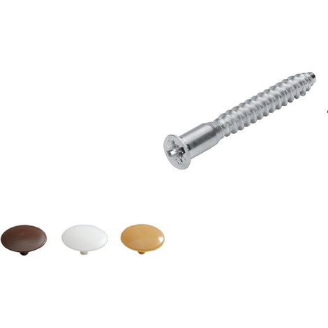 Lot De 16 Vis D'Assemblage Avec Cache Acier Chromé Hettich, L.50 Mm