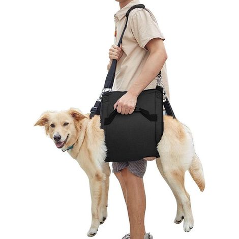 Correa de transporte para perros，Perros medianos y grandes，Arnés de seguridad，Para entrenamiento de paseo，Negro (1/5)