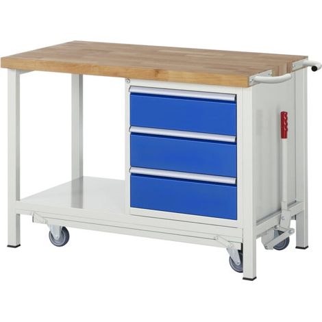Etabli Rau avec châssis abaissable modèle 8157 L 1250 x P 700 x H 880mm (1/5)
