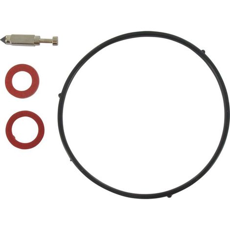 Kit de carburateur CASTELGARDEN - GGP 118550389/0