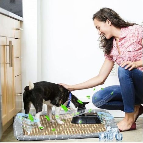 Tapis Rafraîchissant Chien/Chat, Rotin Naturel, Non Toxique, Lavable, Antidérapant(XL)