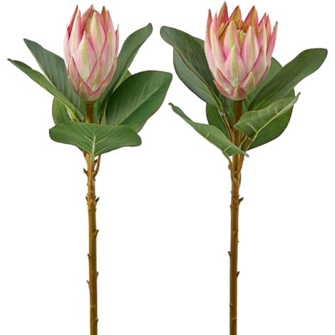 Fiore artificiale Protea effetto realistico con stelo e foglie verdi da h 50 cm