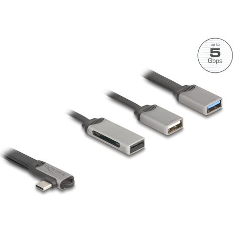 Delock Concentrador USB de 2 puertos que incluye lector de tarjetas SD y Micro SD con conector USB Type-Câ¢