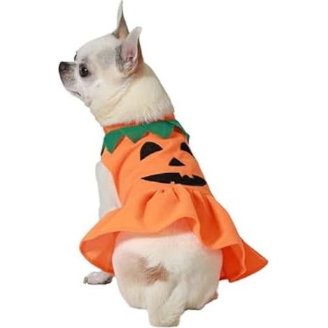 Disfraz de calabaza - ATOSA - Talla M - Naranja - Halloween - Para perro