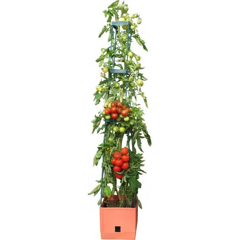 Torre de cultivo "Maxitom" con enrejado y riego (1/5)