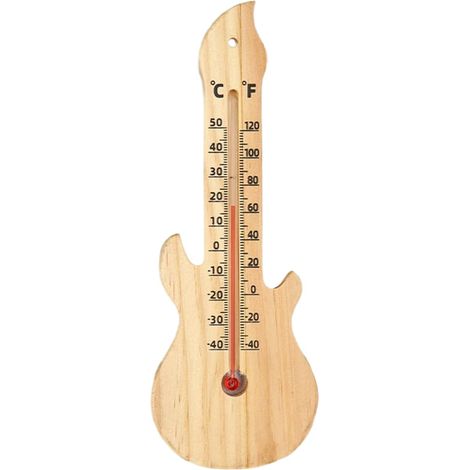 Thermomètre-hygromètre numérique °C/°F pin/verre, pour serre (1/5)