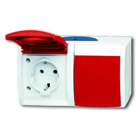 Busch-Jaeger Schuko-Steckdose 2f. waagerecht 20/2 EW/DVN-53 (1/2)