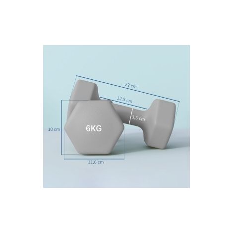 Mancuernas 2 x 6 kg, diseño hexagonal antideslizante, gris HAVRYA (1/5)