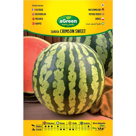 Sachet de graines de pastèque Crimson Sweet 5-8 kg