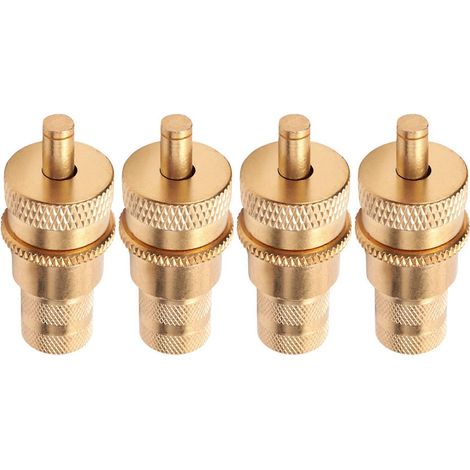 Satz mit 4 automatischen Messing-Reifenentlüftern für Geländefahrzeuge, für Drücke von 6 bis 30 psi. Ablassventil. (1/5)