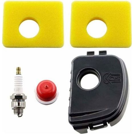 Filtre à air moteur - Briggs & Stratton 300e - Briggs & Stratton 450e - Briggs & Stratton 550e (1/4)