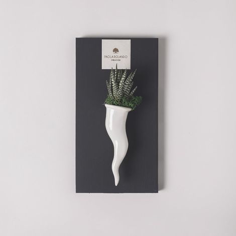 Pianta grassa succulenta in vaso ceramico artigianale Cornetto - Bianco