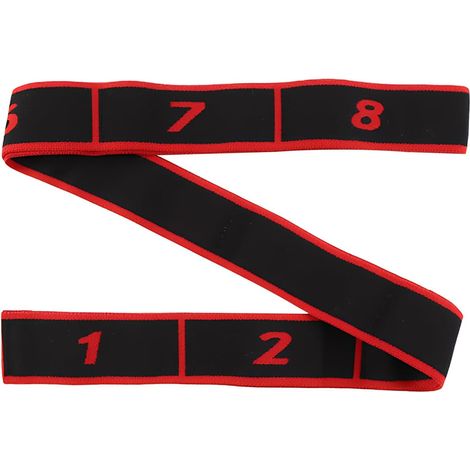 2 fasce elastiche per allenamento di forza, 8 livelli di resistenza, fascia elastica per esercizi, fascia elastica sportiva per fitness e allenamento di forza, per yoga latino, pilates e fitness (ross