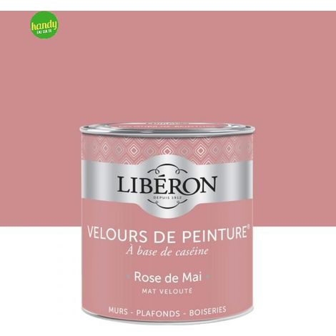 Pittura da interni Liberon 125ml Rosa di Maggio (1/3)