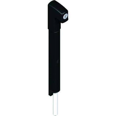 VERROU COND.APPLIQUE 250MM NOIR AVEC 2 CLES