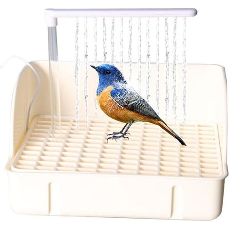 Baignoire Automatique pour Oiseaux, Douche pour Oiseaux avec Plusieurs robinets, Baignoire électrique USB pour Grand Oiseau pour calopsitte, Oiseau, Gris Africain (1/5)