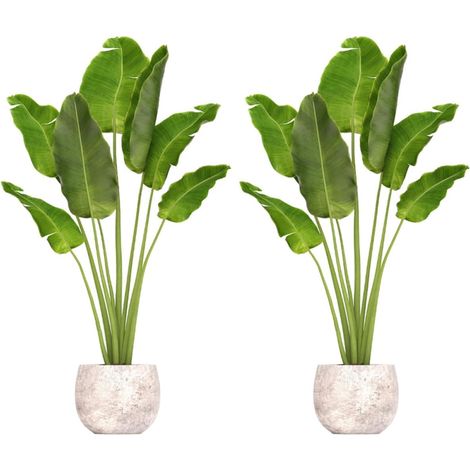 Autocollants Muraux Plantes Vertes 2 Pièces Stickers Décoratifs Amovibles 40X90 CM pour Salon Chambre et Entrée Ambiance Végétale (1/5)