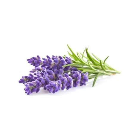 Click and Grow - Smart Garden Refill 3-pack - Lavender (SGR30X3)