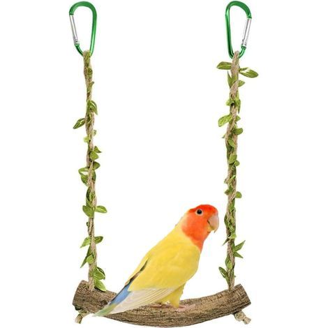 Bird Swing, Rattan, Ropes, 2 Hooks, Stainless Steel, Small and Medium Birds (1/5)