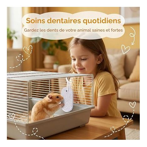 Mineral Chewing Stones with Calcium, Dwarf Rabbit Toy Hamster Accessories Guinea Pig Chinchilla, Chinchilla Chinchilla Chew Stick Safe Material Size 9x4.5x1.5cm for Small Animals (1/4)
