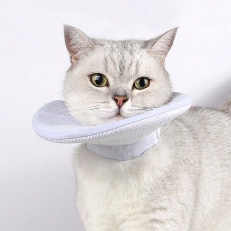 Collerette de protection pour chat