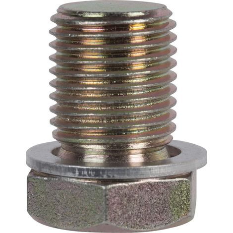 SW-Stahl 03011L Ölablassschraube M 15 x 1,5 mit Aluminiumdichtung (1/4)
