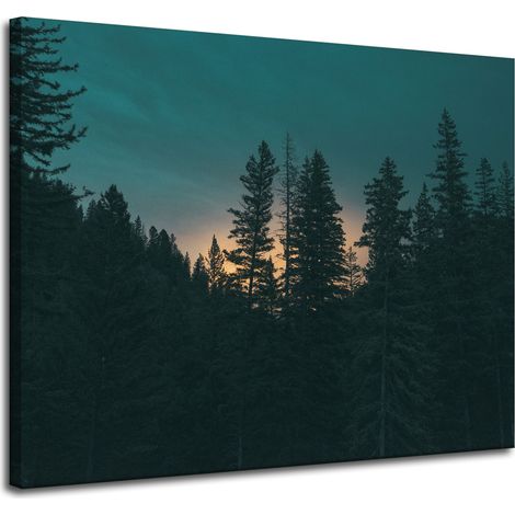 Lienzo impreso Naturaleza Bosque al atardecer 100x80 cm Oscuridad