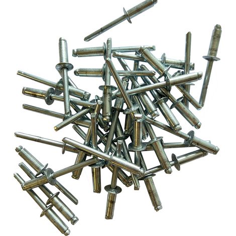 Sachet de 250 rivets acier standards de 6 x 18