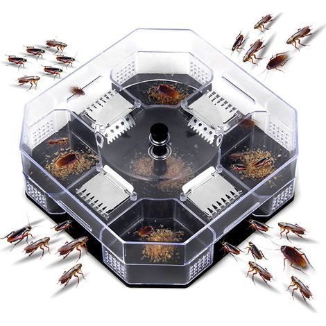 Boîte piège à cafards réutilisable pour maison, attrape-blattes et insectes, tueur de cafards pour cuisine