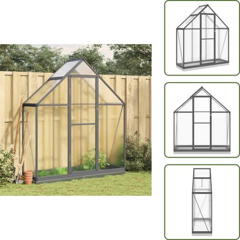 The Living Store Serre avec cadre de base anthracite 169x58x202 cm aluminium - Serre De Jardin - Serre Aluminium - Abri Jardin - Protection Plante - Greenhouse